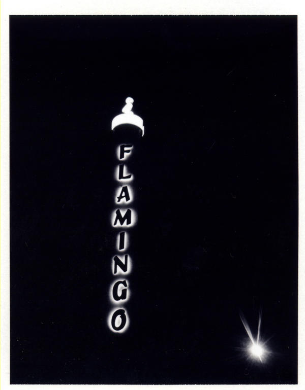 Flamingo by fotomatique on DeviantArt