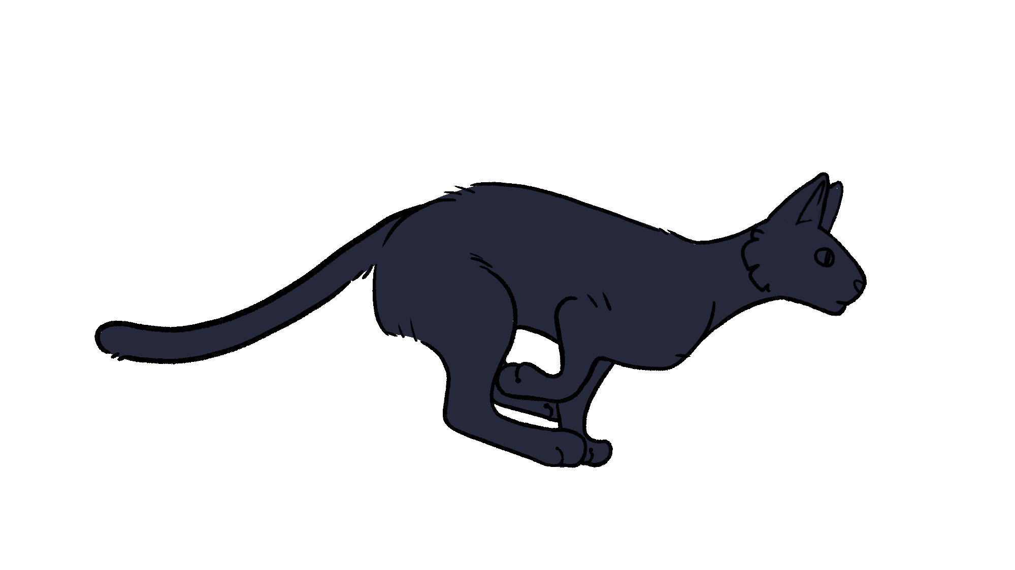 Run Cycle Guide Cat Cat Run Cycle Animation 2 By Tsukihikaru On Deviantart