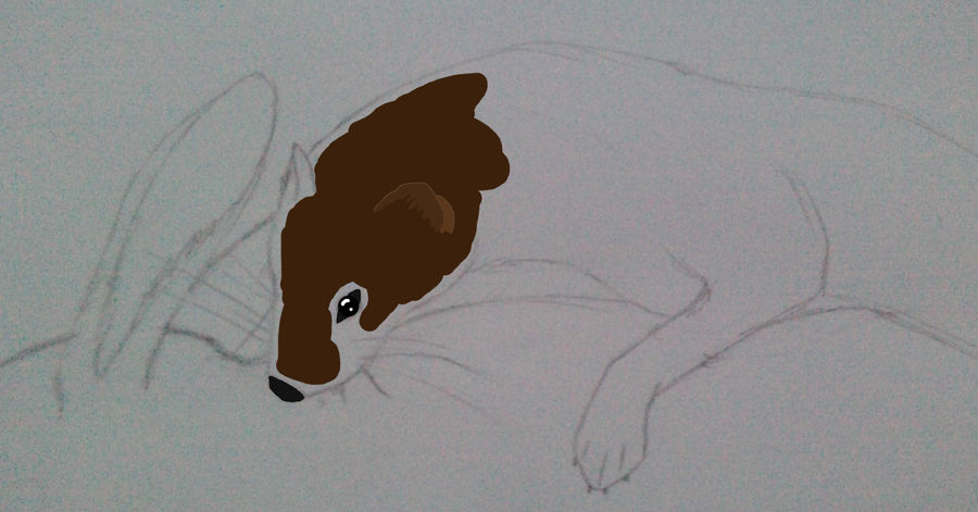 Staut Vs Rabbit Stoat vs. Rabbit WIP by Izusa on DeviantArt
