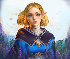 Zelda BOTW2