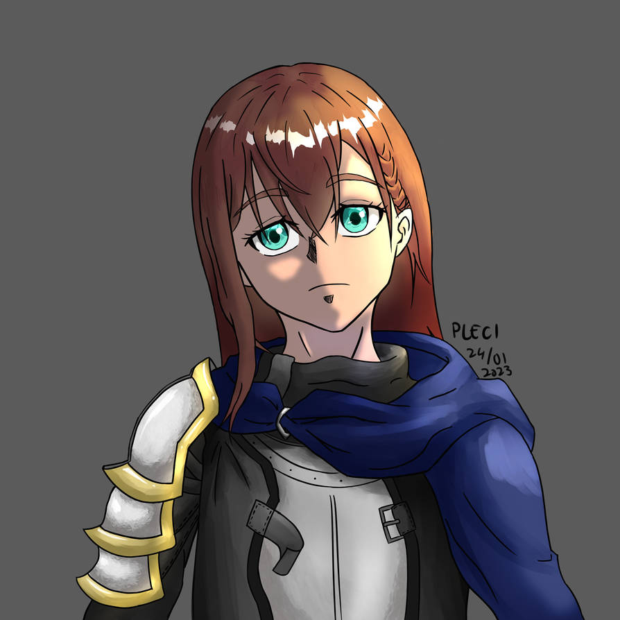 Rogue Knight by Plecii on DeviantArt