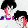 Gohan and Videl Portrait