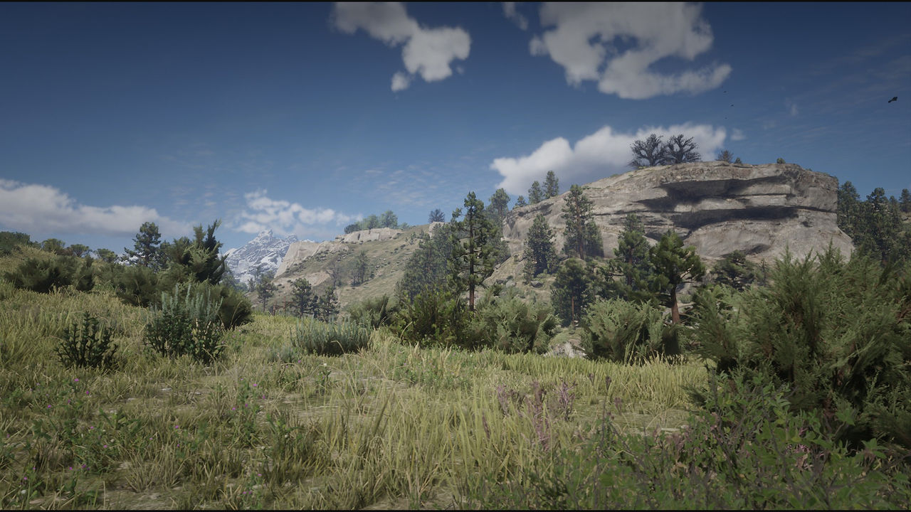 Red Dead Redemption 2 New Hanover #2 by Chernandez2020 on DeviantArt