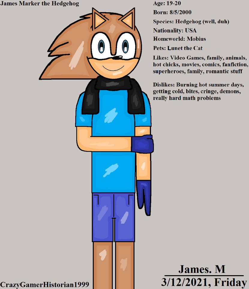 James The Hedgehog (by James M) by cvgwjames on DeviantArt