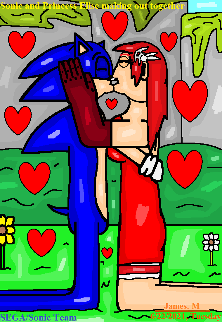 A romantic moment - Sonic and Elise by lupitamota on DeviantArt