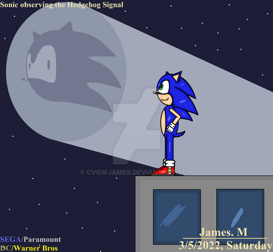 Sonic observing the Hedgehog Signal (by James M) by cvgwjames on DeviantArt