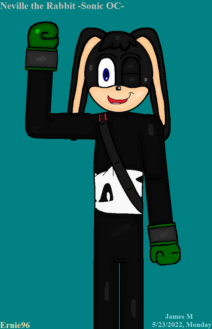 Sonic Oc Rabbit Neville the Rabbit -Ernie96's Sonic OC- (by me) by cvgwjames on DeviantArt