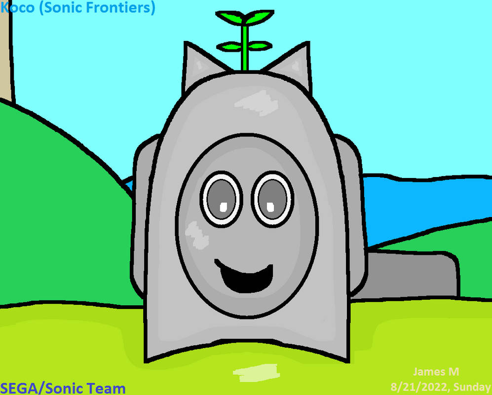 Koco -Sonic Frontiers (by James M) by cvgwjames on DeviantArt