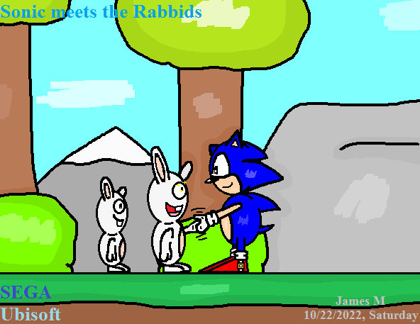 Sonic meets the Rabbids (by James M) by cvgwjames on DeviantArt