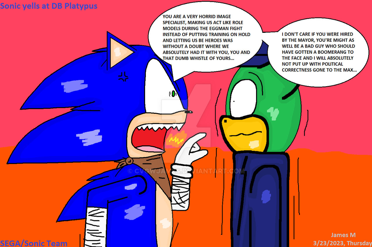 Sonic yells at DB Platypus (by James M) by cvgwjames on DeviantArt