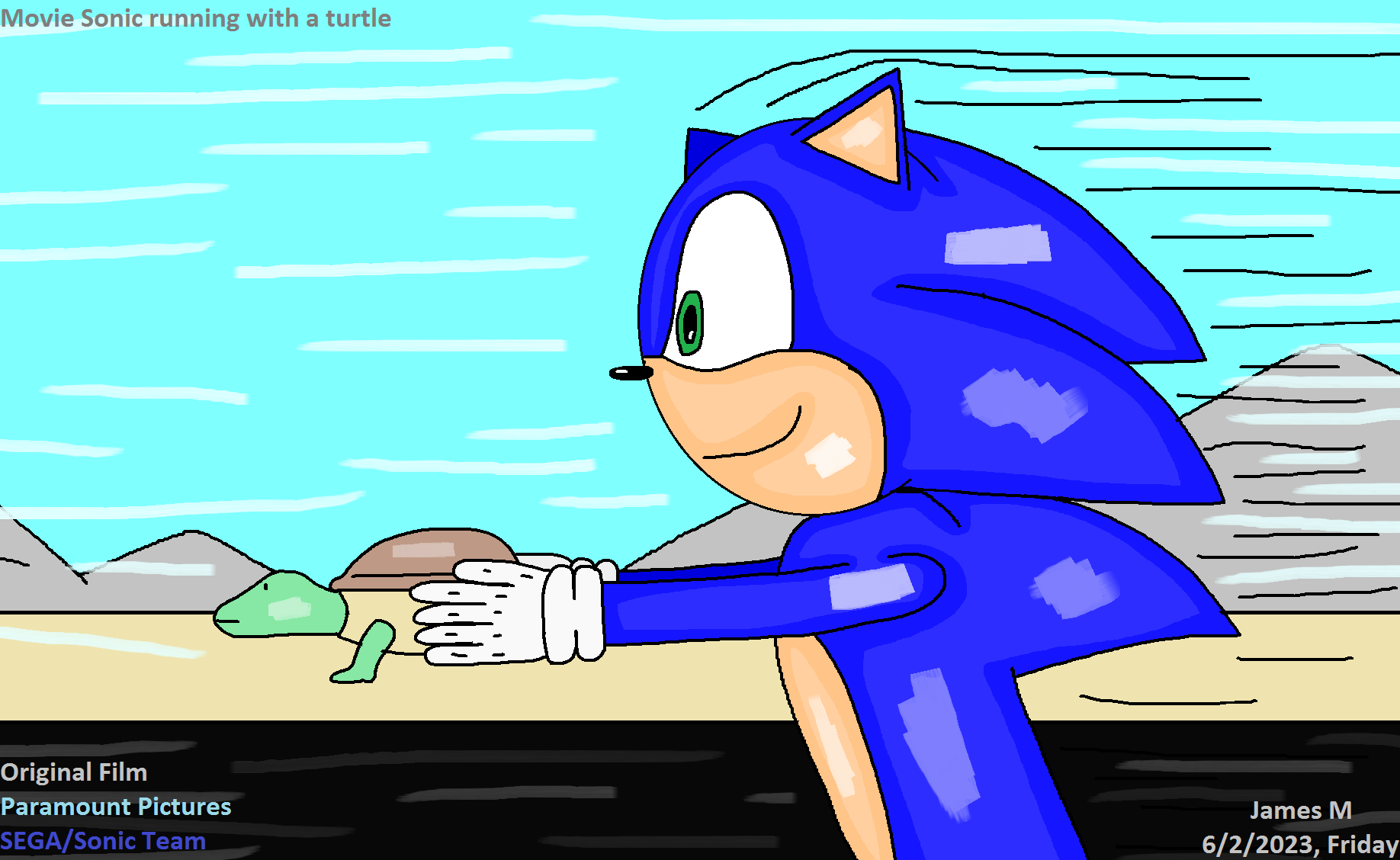 Movie Sonic running with a turtle (by James M) by cvgwjames on DeviantArt