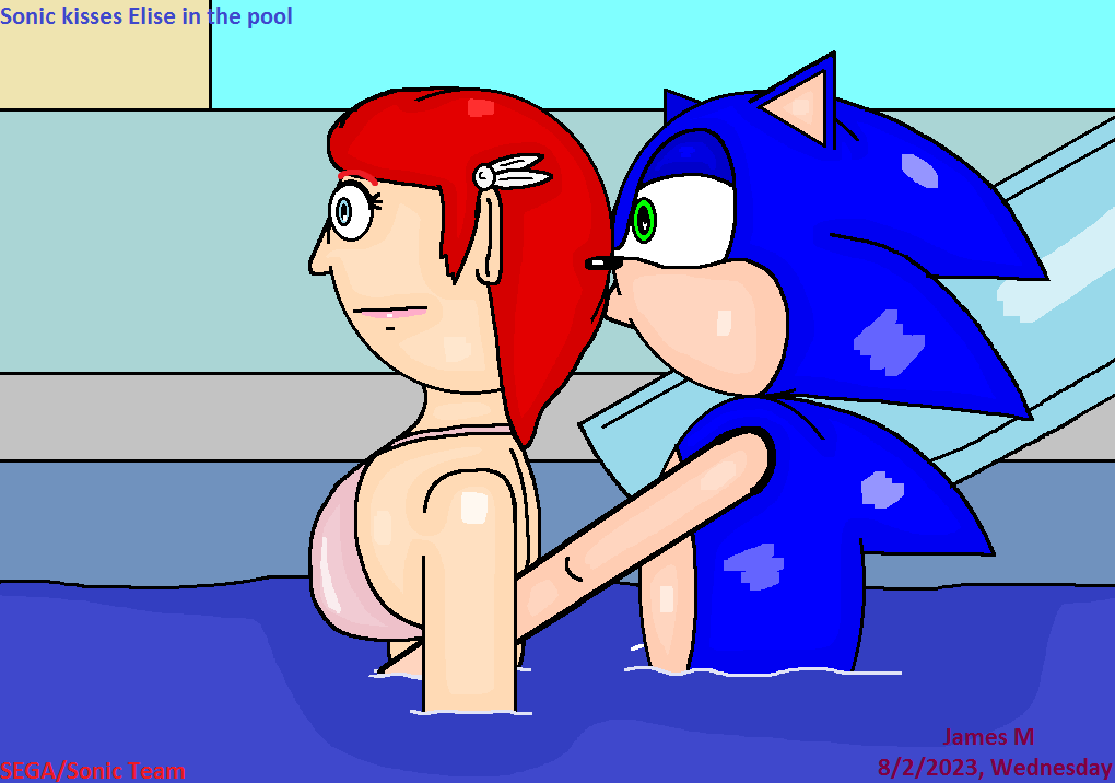 Sonic Breaks Up With Elise by MangaAnimeChampion on DeviantArt