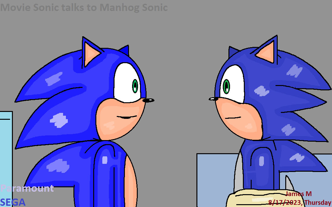 Movie Sonic talks to Manhog Sonic by cvgwjames on DeviantArt