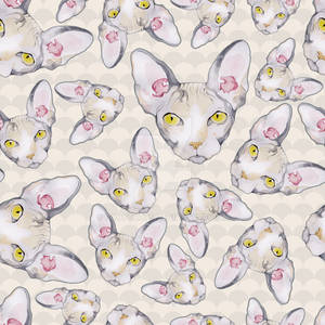 Sphynx Cat Pattern