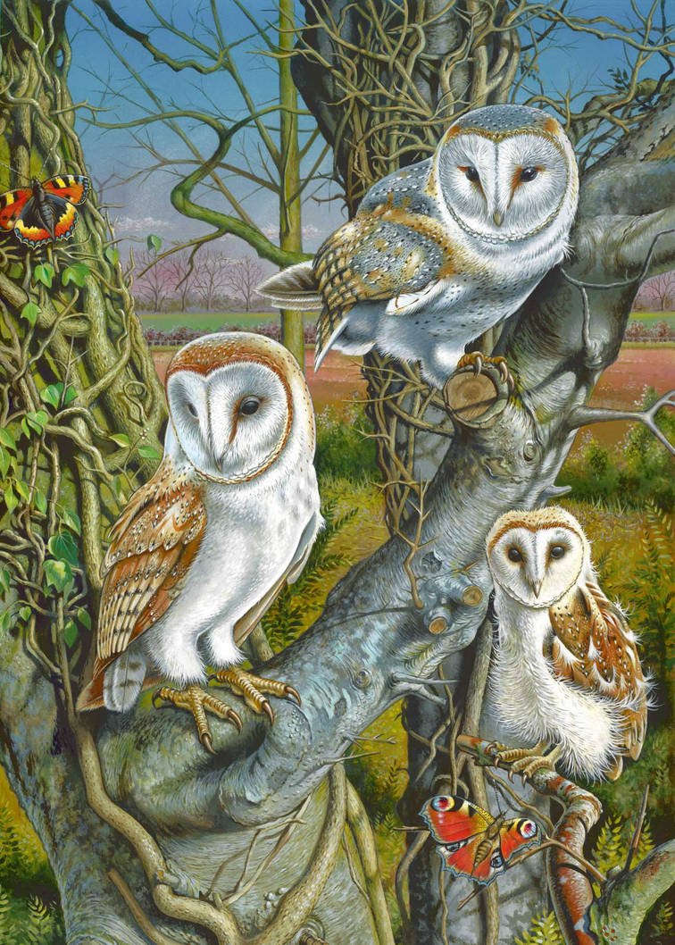 Owl Gathering by doodlebat72