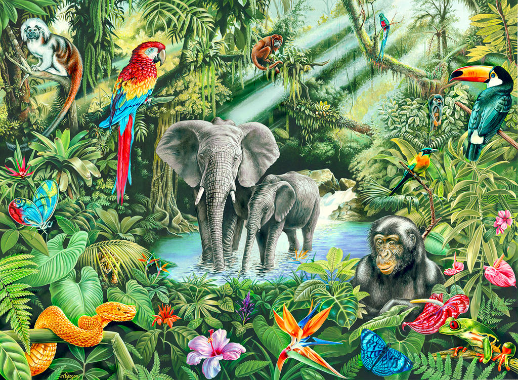 rainforest animals by doodlebat72 on DeviantArt