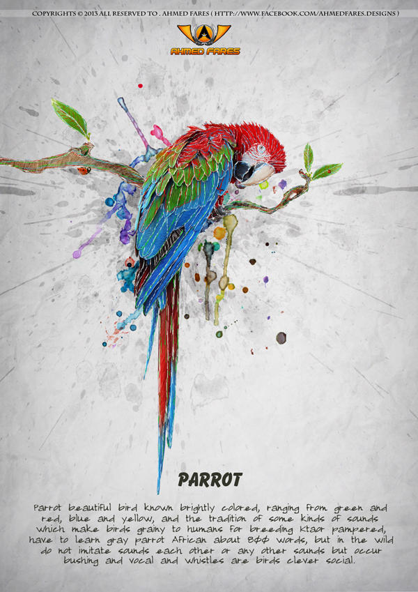 Parrot by Ahmed-Fares94