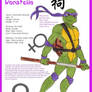 Donatello: TMNT Biography