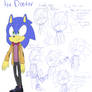 Sonic the Doctor design