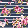 butterfly with bird on stripe background