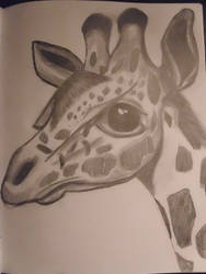 Giraffe!