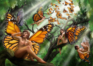 Monarch butterfly awakening