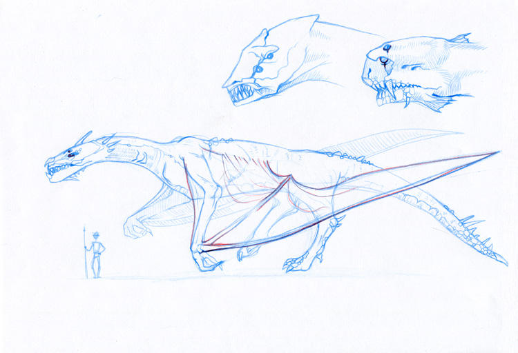 Dragon concept by sumeragisama on DeviantArt