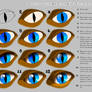Quick Eye Tutorial
