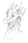 RandomDragonSk01 by suzidragonlady