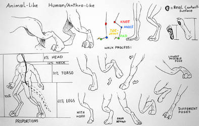 Updated Back Legs Sheet