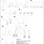 Feet Sheet