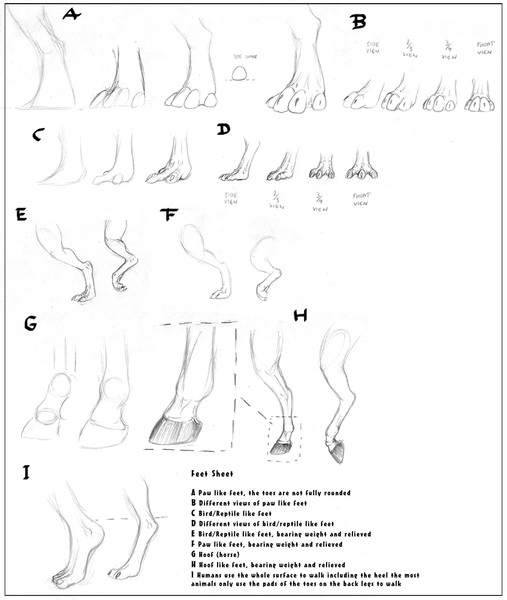 Feet Sheet