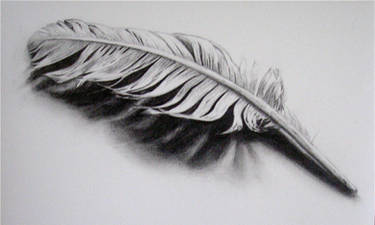 Feather