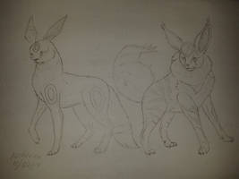 Flareon y Umbreon HD