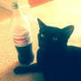 Share a coke 2