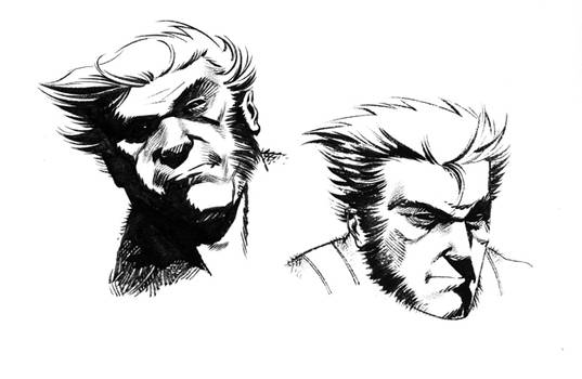 Wolvie Warm Ups...