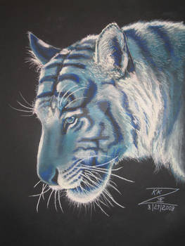 Blaue Tiger Kopf