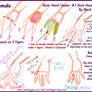 Hand Cheats 02 Backhand