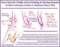 Foot Cheat 02 Point n Flex