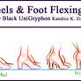 Drawing Heels Low to High
