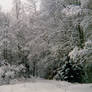 Norwegian wood. And snow.