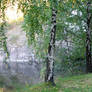 Further along the rock and river