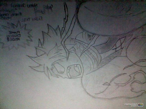 Natsu from Fairy Tail