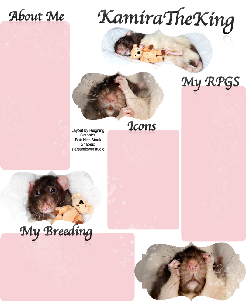 Rat layout by Reigning-Graphics on DeviantArt