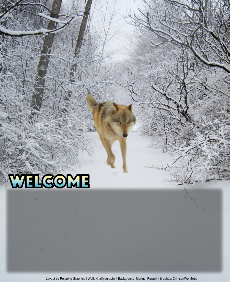 Wolf Running Through Snow layout