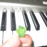 Four-leafed clover