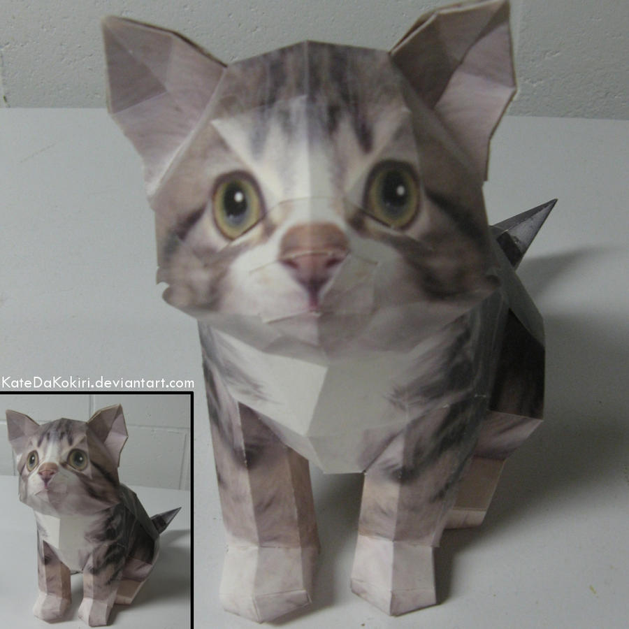 Kitty Papercraft by KatedaKokiri on DeviantArt