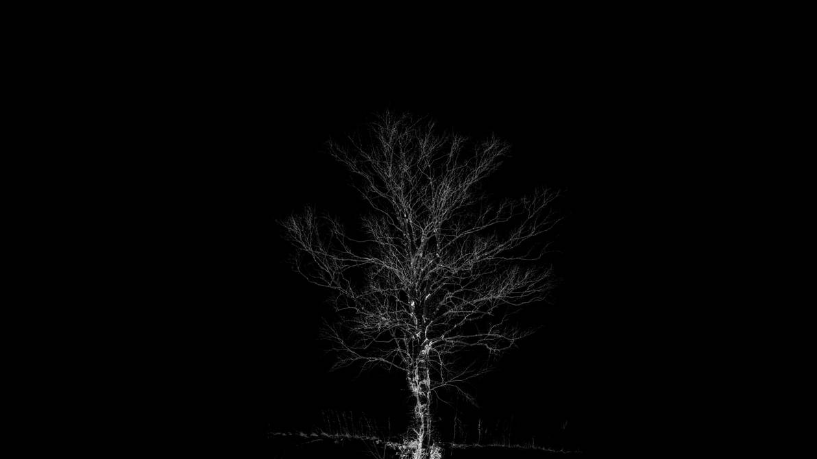 Tree In Black Black tree 4K wallpaper by bobalazs on DeviantArt