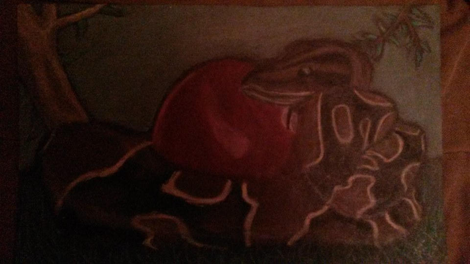 rock python oil pastel drawing by EnderTheDragon1 on DeviantArt
