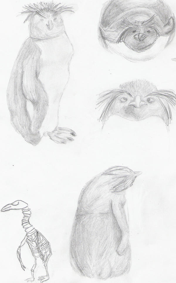 Untangling Deviantart PENGUIN SKETCH by UntanglingRopes on DeviantArt
